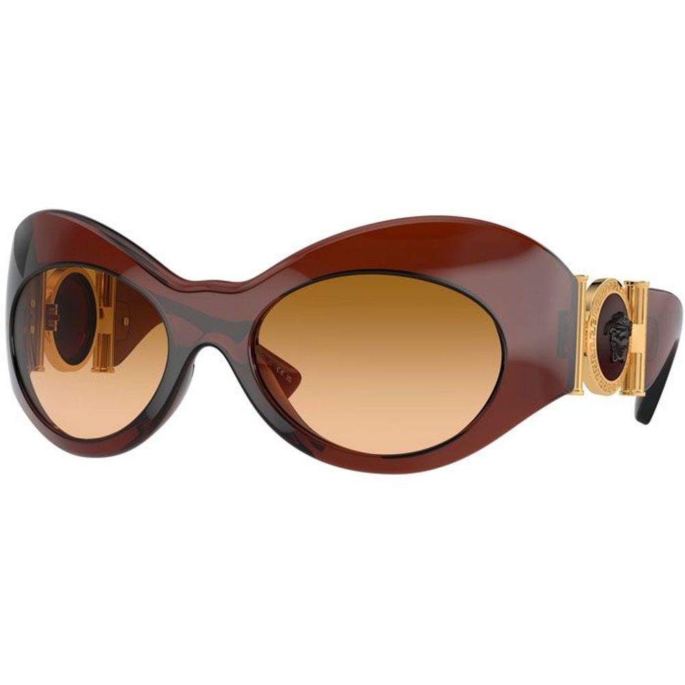 Braune Acetat-Sonnenbrille