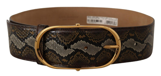 Brauner Pythonledergürtel mit ovaler Schnalle und Gold